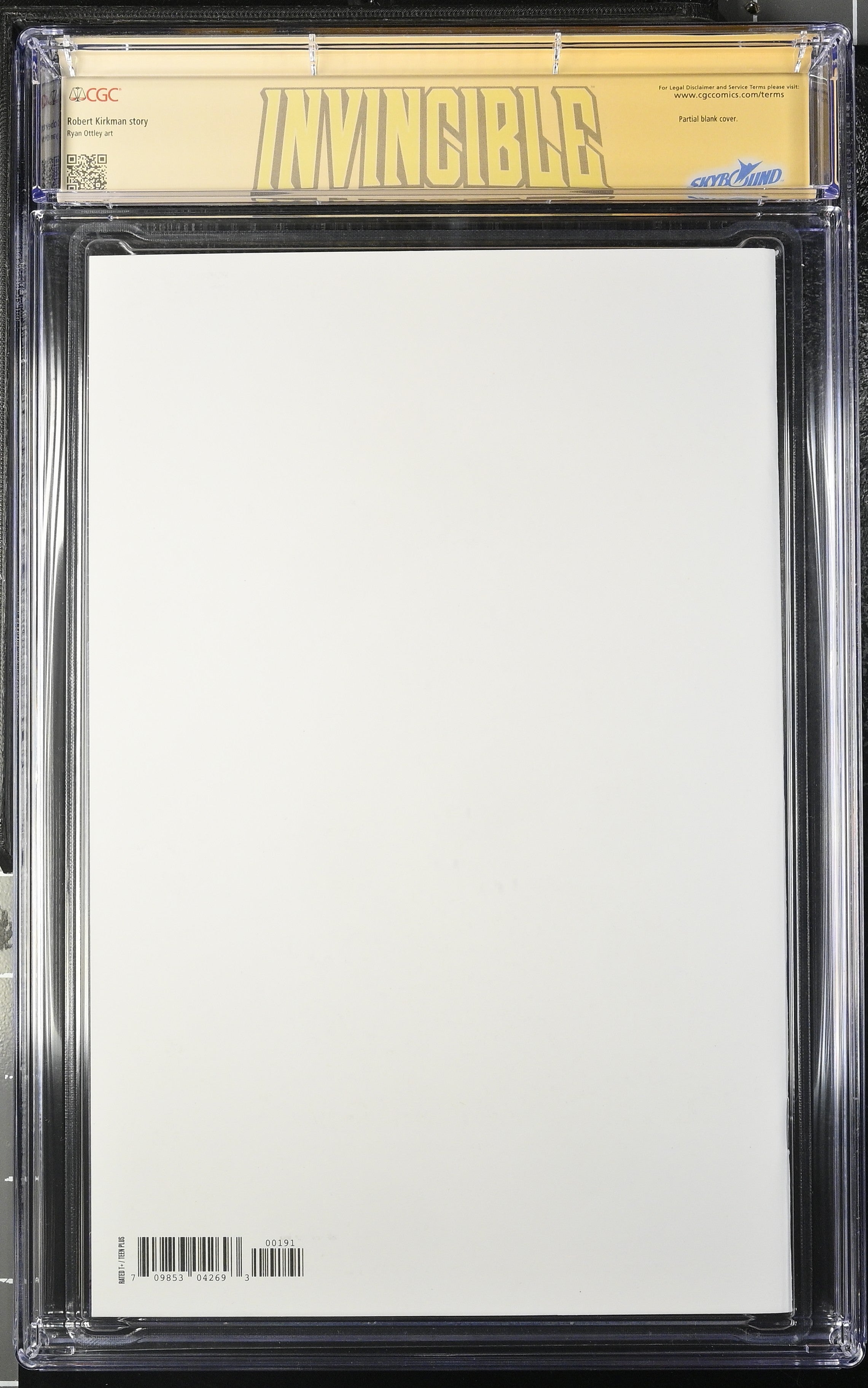 Invincible Universe: Battle Beast #1 Sketch Edition - Shah2